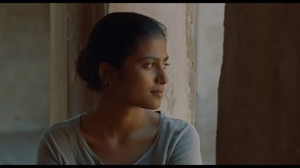 Por motivo del estreno de Maya (15 de marzo), la última película de la directora francesa Mia Hansen-Løve (El porvenir, Un amor de juventud...), y el Día Internacional de la Francofonía (20 de marzo), Golem Distribución y los cines Golem Madrid, celebran el ciclo "Maya y las cineastas francesas con voz propia".