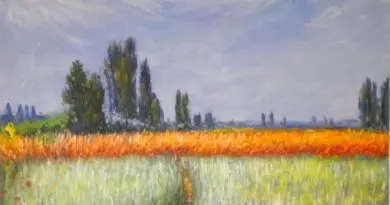 Campo de Trigo