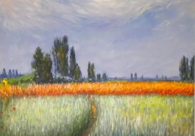 Campo de Trigo