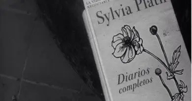 Sylvia Plath Diarios COmpletos