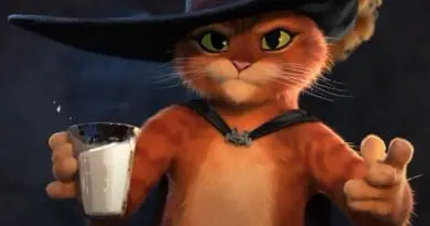 gato con botas
