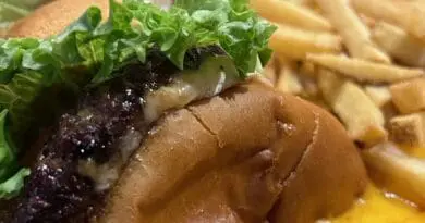 FONDUE-IT: Las nuevas hamburguesas de Fridays Hamburguesa