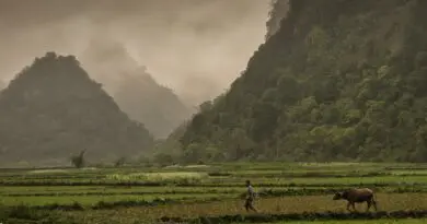 Norte de Vietnam (I). Rocas como colmillos.