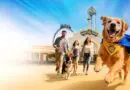 Dog Days