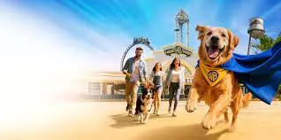 Dog Days