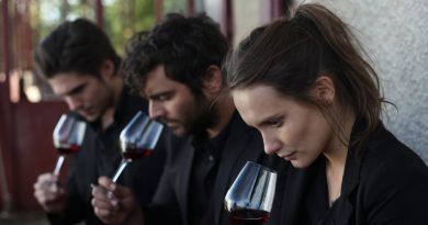 Nuestra vida en la Borgoña