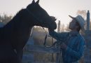 THE RIDER: El ocaso del jinete