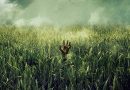 in-the-tall-grass-poster-pelicula-netflix-Sitges 2019