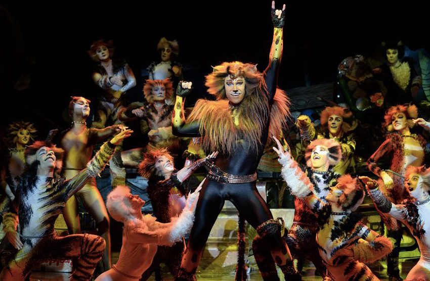 CATS en escena 