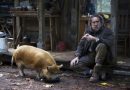 Pig
