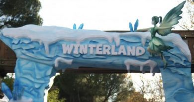 Winterland