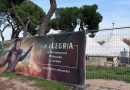 Circo del Sol