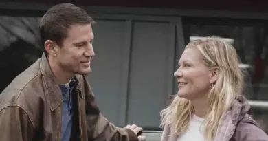 Roofman Un ladrón en el tejado