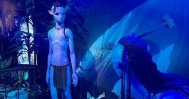 Avatar The Experience