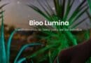 Bioo Lumina: Transforma tu jardín en el bosque de Avatar